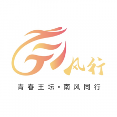 虞舜文化节秩序维护