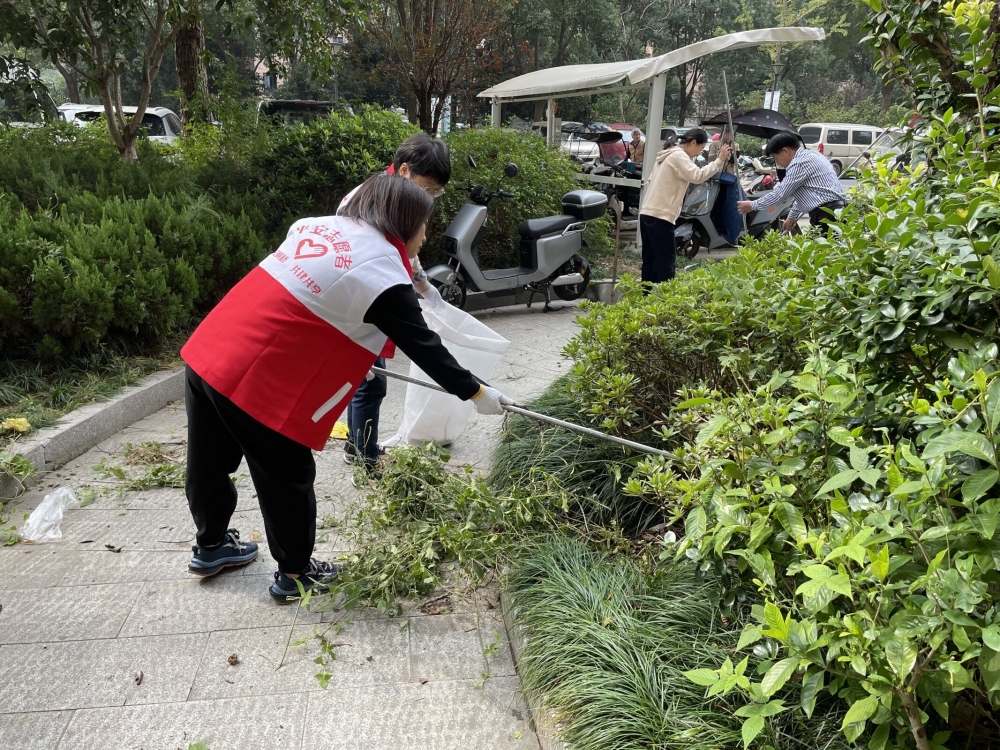 东昉新村环境卫生整治行动