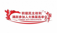 上谢桥社区人大选举选民证发放活动