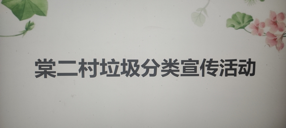 棠二村垃圾分类宣传志愿活动