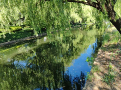 浪琴社区古运河巡河志愿活动