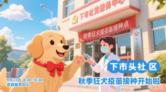 下市头社区宠物安全活动