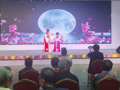 欢乐安华 周末剧场