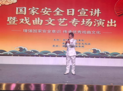 国家安全日文艺演出