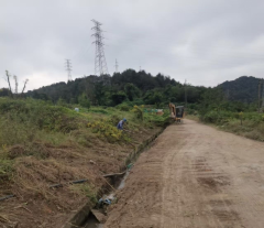 一枝黄花清理志愿活动