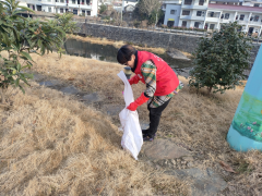 迎新春环境保护志愿活动
