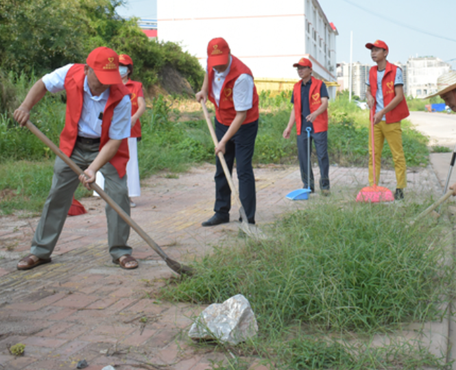 新上王村环境卫生整治志愿活动