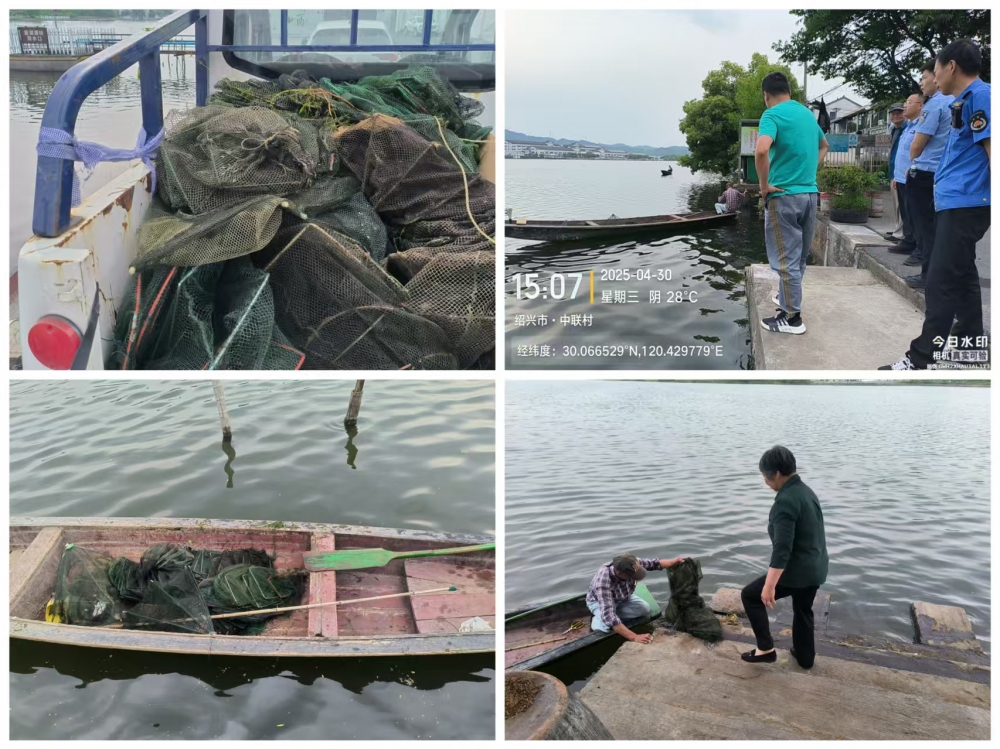 鉴湖江地笼清缴
