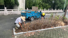 园里湖居环境卫生整治志愿活动