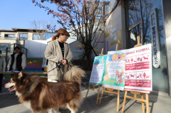 “宠”爱有方，一起文明养宠！