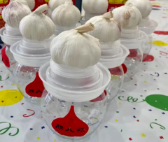 紫薇社区开展腊八蒜手工制作活动