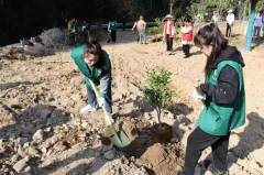 春“锋”十里，正“植”有你