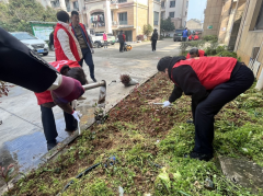 春“锋”十里，正“植”有你