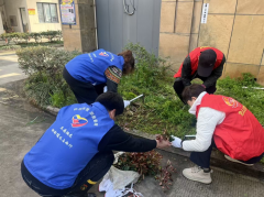 志愿红播种文明绿