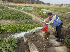 若耶村消防栓安全排查