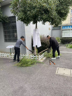 上孙居环境清理志愿服务活动