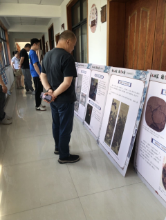 上孙居开展传统文化专项展览志愿活动