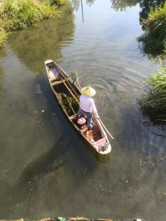 河道保洁捞草