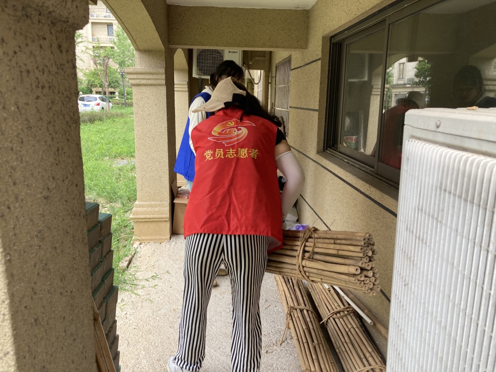 “焕新行动”党员志愿者环境卫生整治志愿服务