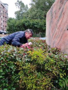 保护社区环境，共护干净家园志愿清扫服务活动