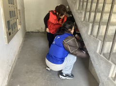 越崎社区春节环境卫生整治志愿服务活动