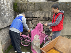 清洁家园，防蚊灭害