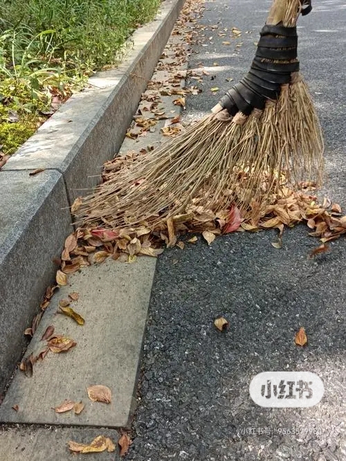 社区垃圾清扫行动 社区垃圾清扫行动