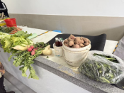 志愿助农促销售・服务村民自产自销活动