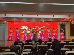 湖安村迎新晚会