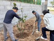 春植绿意志愿活动