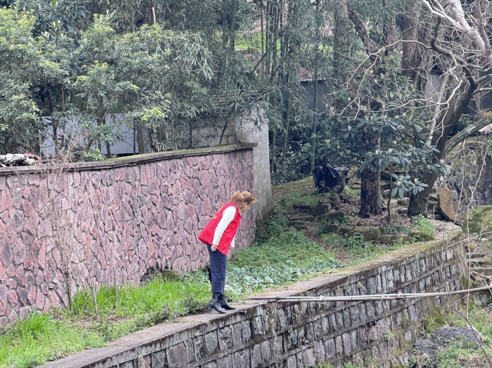 党员志愿服务:巡查清理溪沟 守护水清岸绿 党员志愿服务:巡查清理溪沟 守护水清岸绿