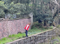 党员志愿服务：巡查清理溪沟 守护水清岸绿 