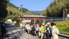 竹林寻趣，菌园探秘——合心村研学行