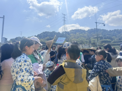 春日限定·平水小茶农上线！沉浸式采茶研学太治愈