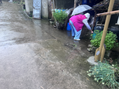 合心村翻盆倒罐除积水 健康家园共守护 