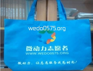 “六五”世界环境日志愿者“微动力公益环保袋”发放活动