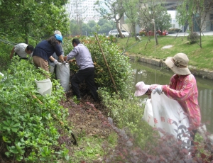 柯桥街道瓜渚湖社区在职党员五水共治整治行动