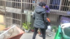 柯桥街道福年社区：环境志愿在行动