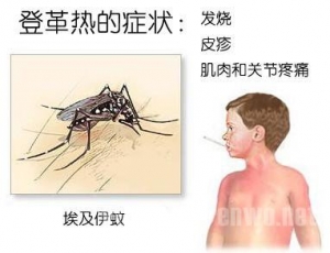 柯福社区招募志愿“登革热”宣传资料发放