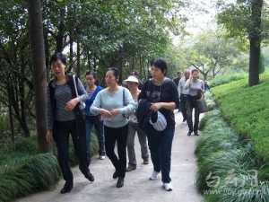 “佳节又重阳，桂花添芬芳”大渡社区重阳活动