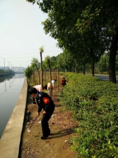巾帼志愿者助力“五水共治”