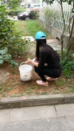 “青春治水，美丽滨海”团员青年助力“五水共治”