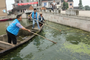 清水绿岸 志愿环保