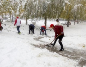 福年社区志愿者义务扫雪活动