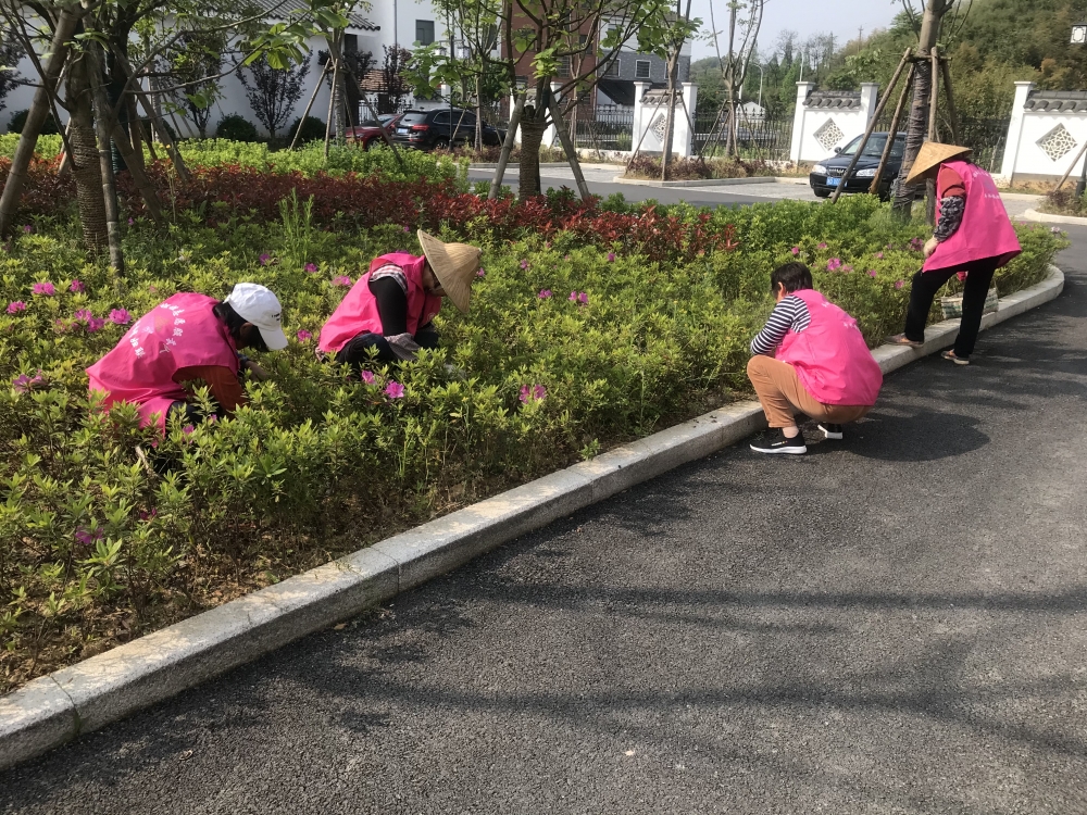 清除杂草