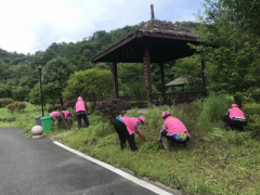 梅园锁泗桥清理杂草活动