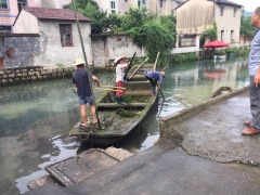 四丰村石旗湖水草打捞活动