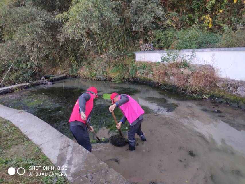 幸福水乡志愿者在新横溪村河道清理的志愿活动