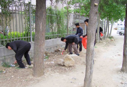 “环境整治我带头”——党员环境整治志愿行动