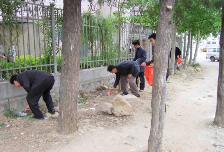 “环境整治我带头”——党员环境整治志愿行动